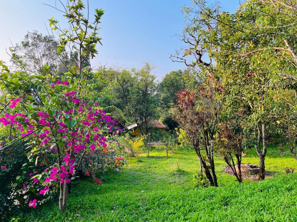 Coorg Daffodil Guesthouse Madikeri Esterno foto